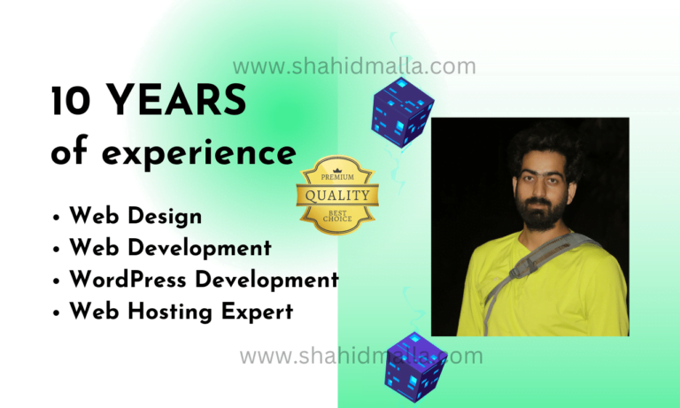 Are you looking for a skilled and experienced website designer in Kashmir?